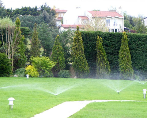 Baysallar Beyzaj Yapılan İşler